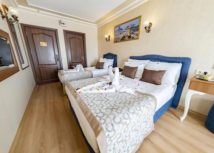 Grand Hamit Otel Ankara