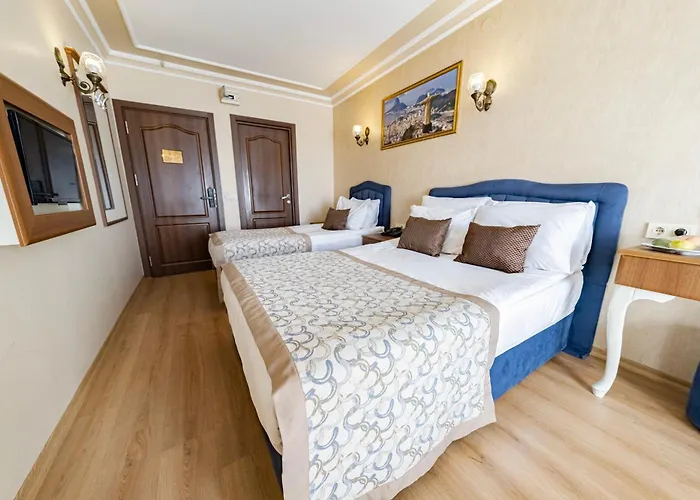 Hotel Grand Hamit 4*