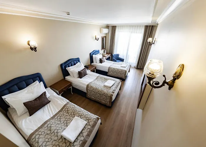 Grand Hamit Hotel 4*
