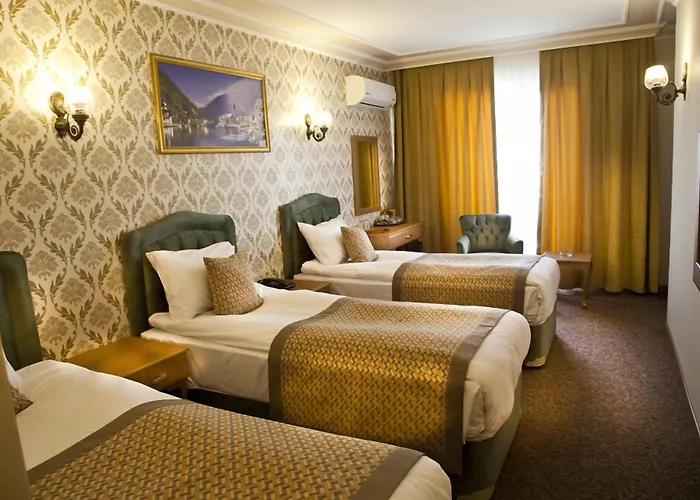 Grand Hamit Hotel 4*